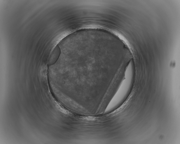 X0000096981329200802291136