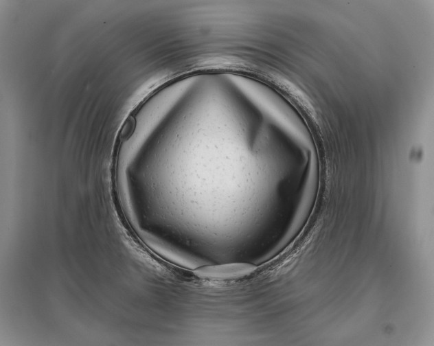 X0000096981330200802291136