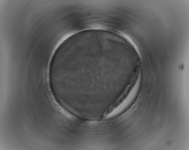 X0000096981331200802291136