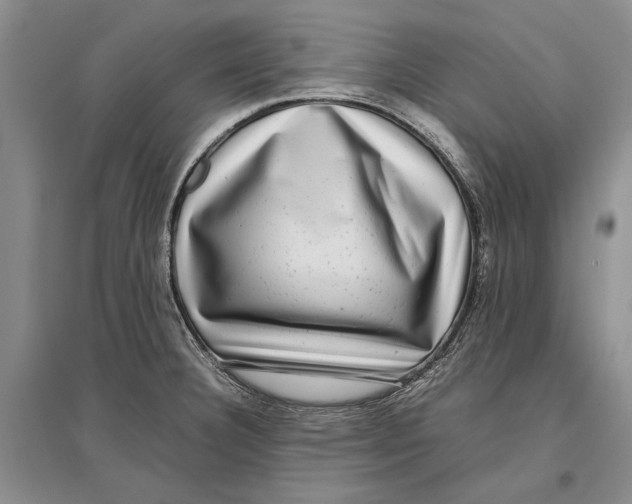 X0000096981332200802291136