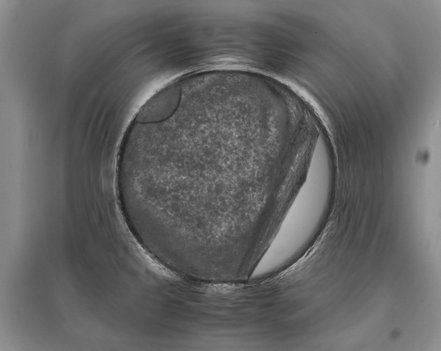 X0000096981333200802291136