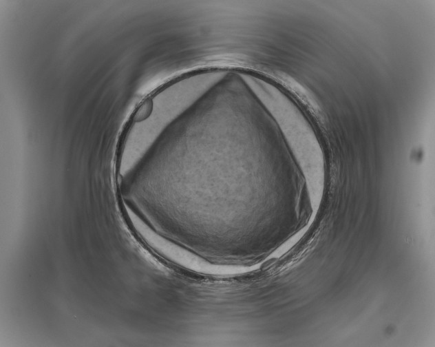 X0000096981334200802291136