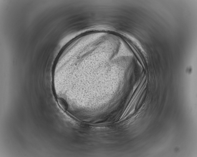 X0000096981335200802291136