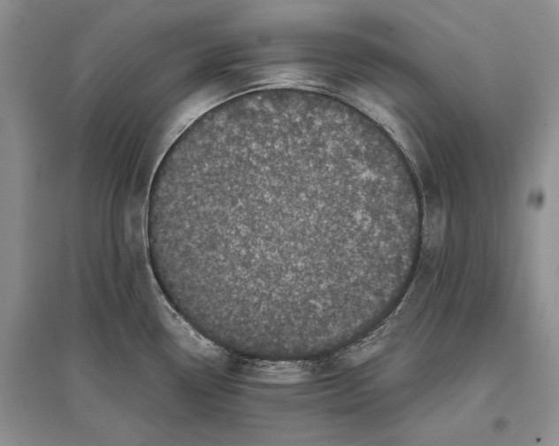 X0000096981338200802291136