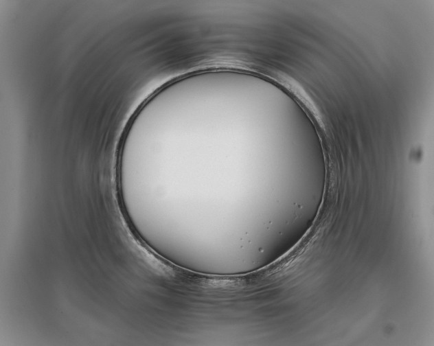 X0000096981339200802291136