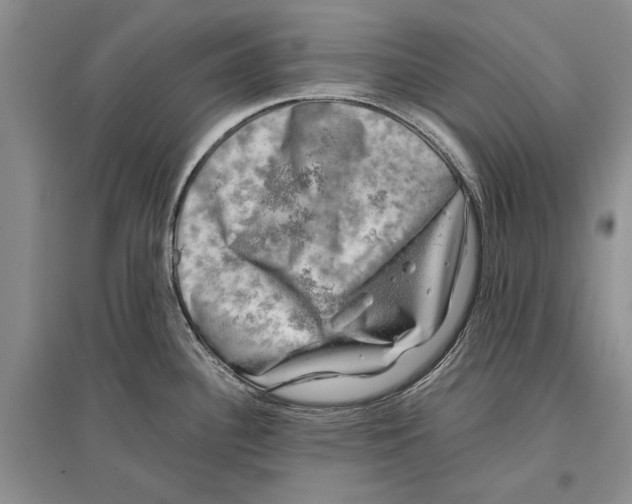 X0000096981340200802291136