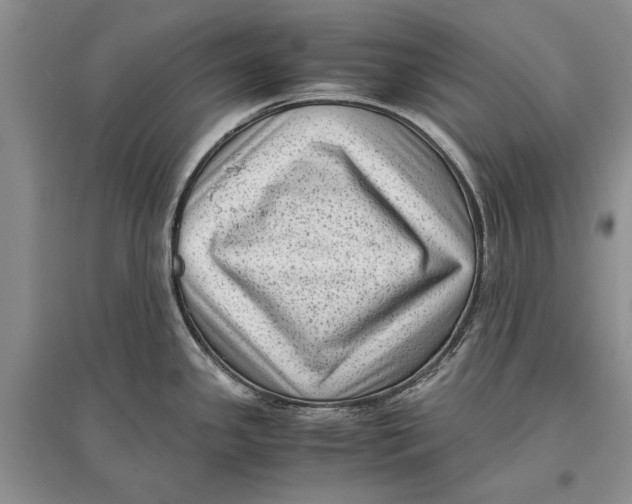 X0000096981341200802291136