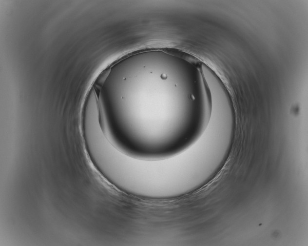 X0000096981342200802291136