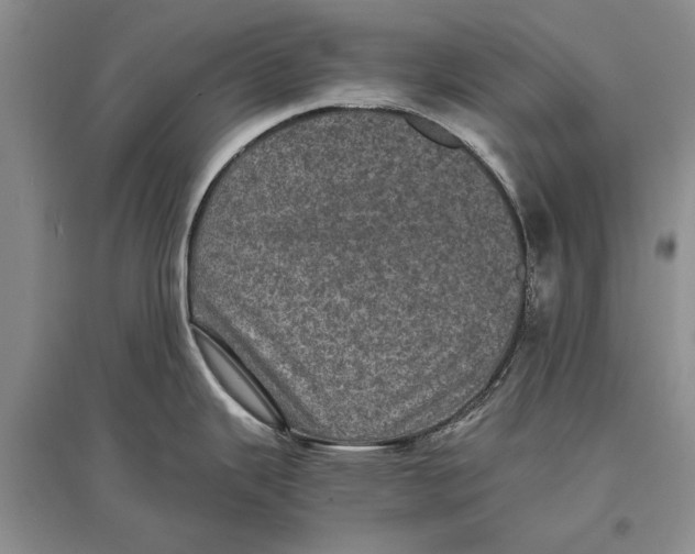 X0000096981343200802291136