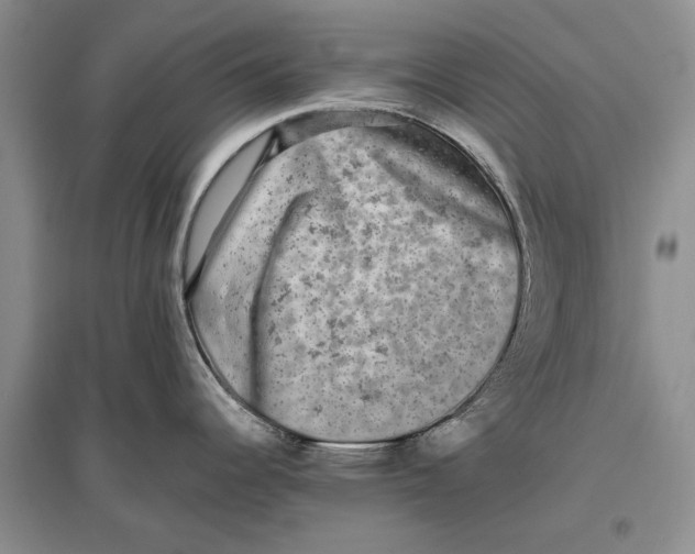 X0000096981344200802291136