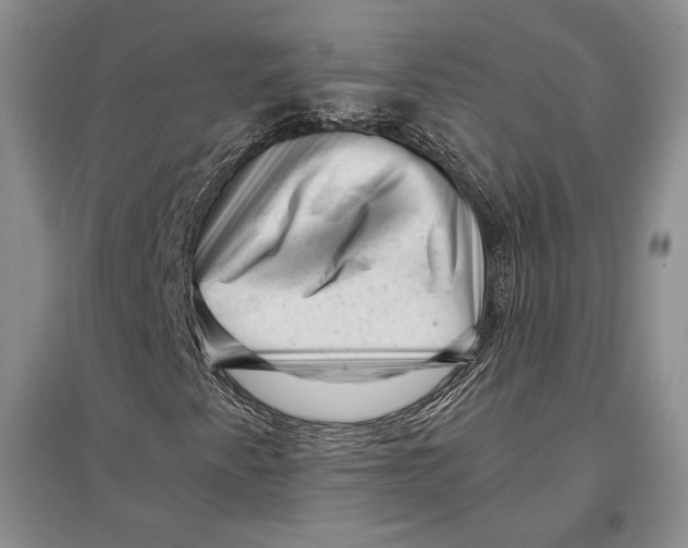 X0000096981345200802291136