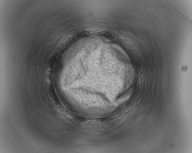 X0000096981346200802291136