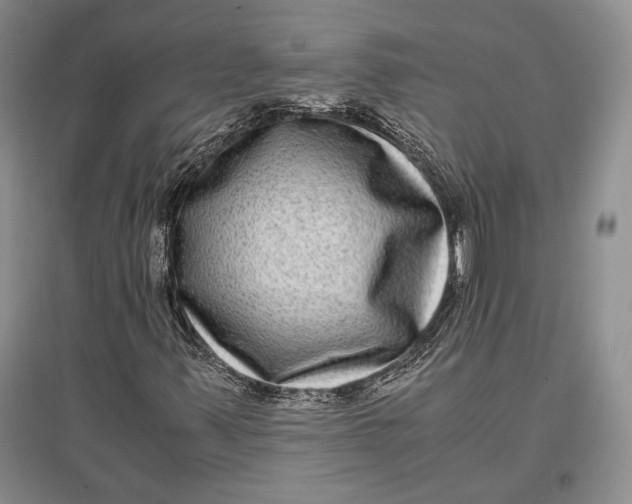 X0000096981347200802291136