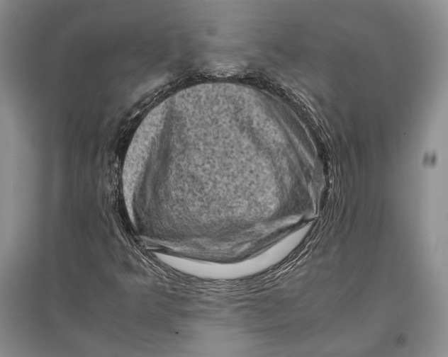 X0000096981349200802291136