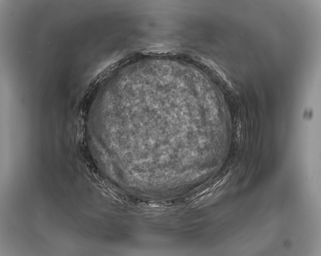 X0000096981350200802291136