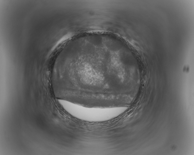 X0000096981351200802291136