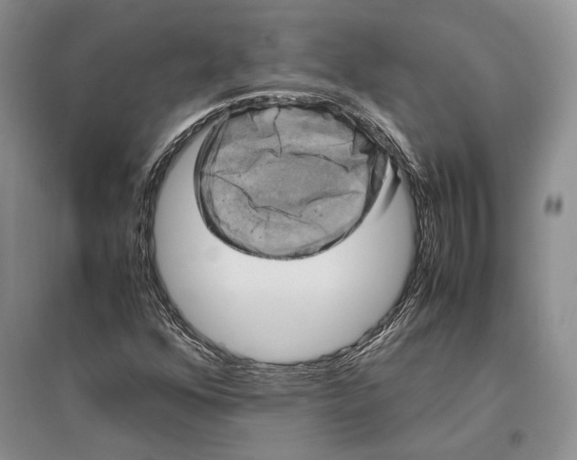 X0000096981352200802291136