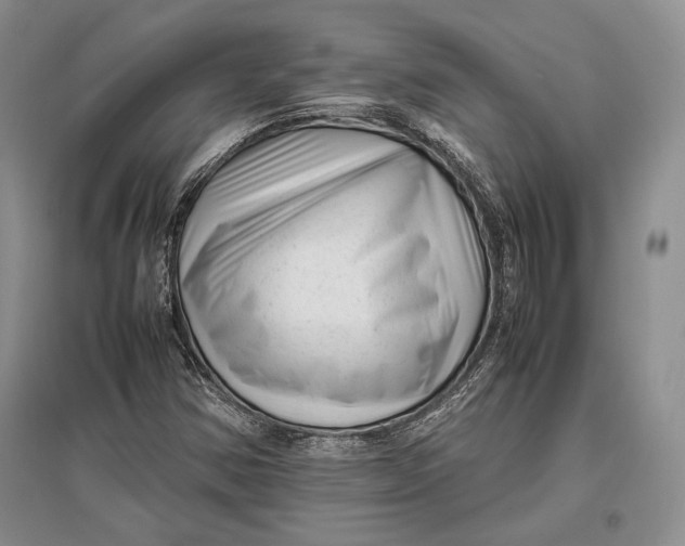 X0000096981354200802291135