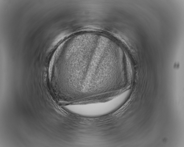 X0000096981355200802291135