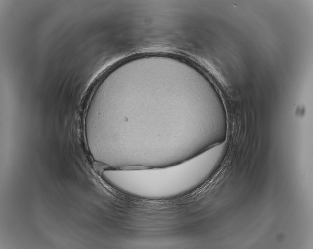 X0000096981356200802291135