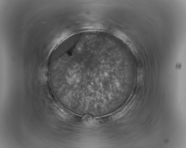 X0000096981357200802291135