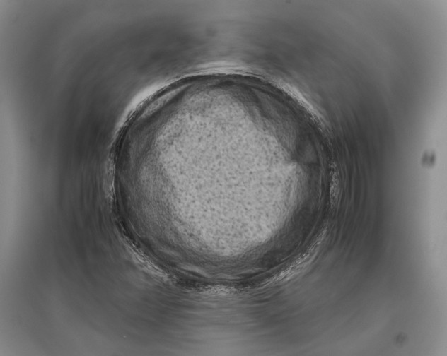 X0000096981358200802291135