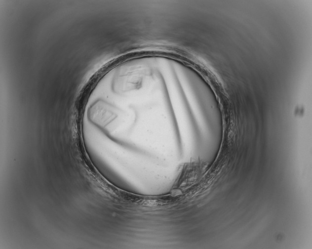 X0000096981360200802291135