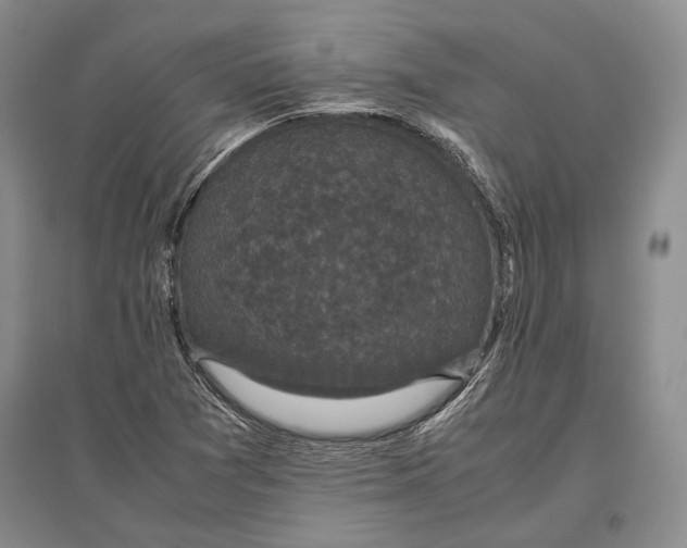 X0000096981361200802291135