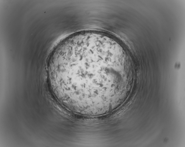 X0000096981363200802291135