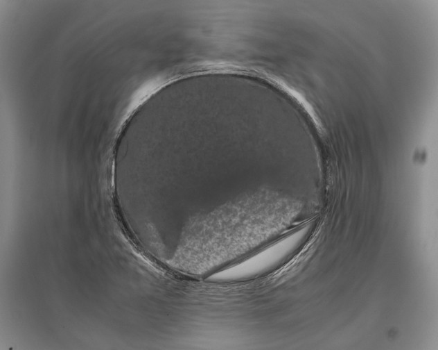 X0000096981365200802291135