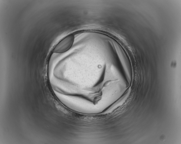 X0000096981366200802291135