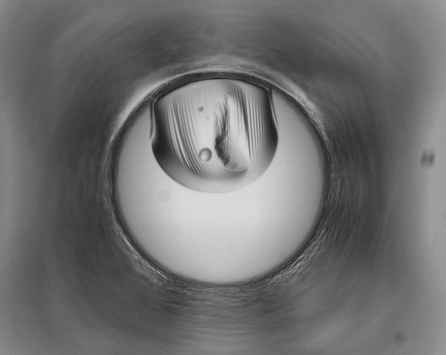 X0000096981368200802291135