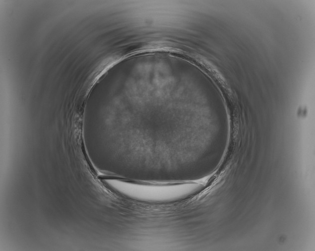 X0000096981369200802291135