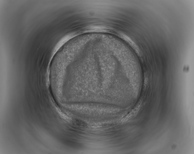 X0000096981370200802291135