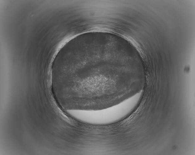 X0000096981371200802291135