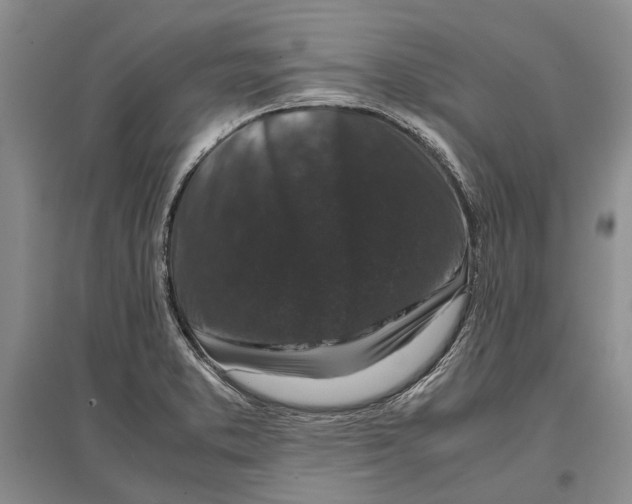 X0000096981373200802291135