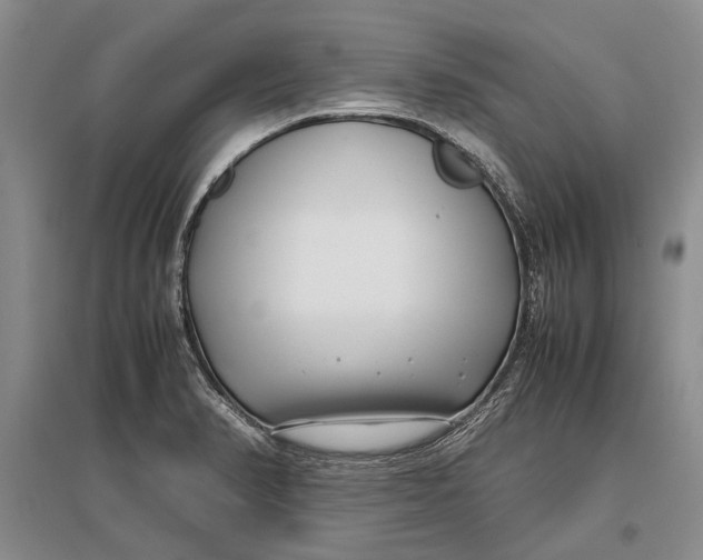 X0000096981374200802291135