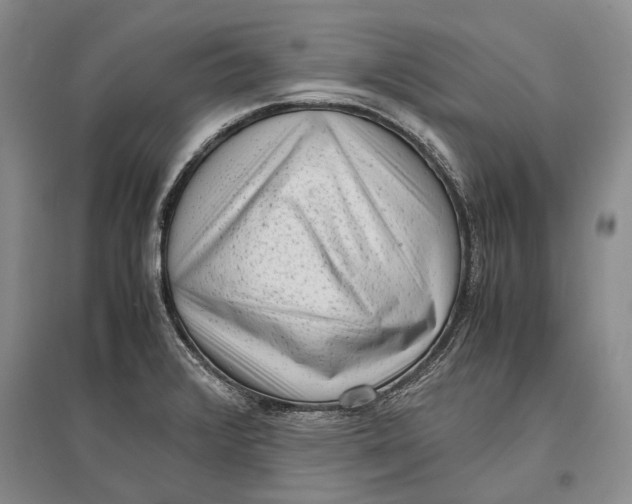 X0000096981376200802291135