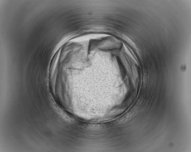 X0000096981378200802291135