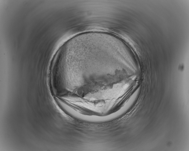 X0000096981379200802291135