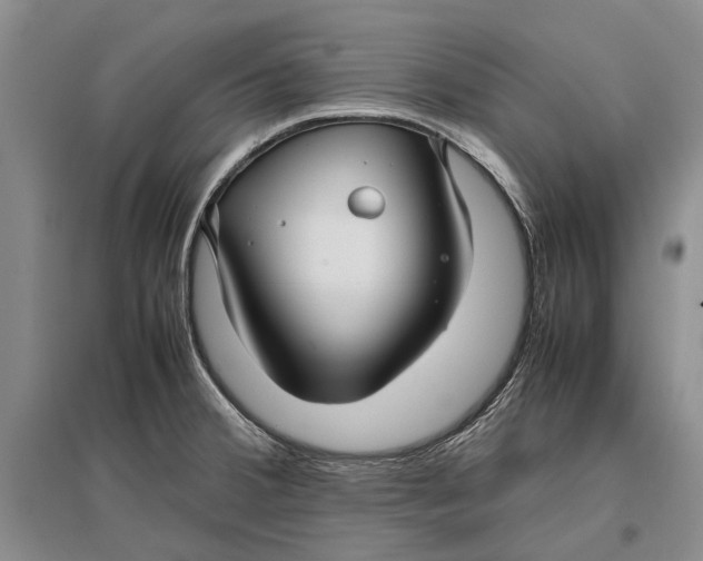 X0000096981380200802291135