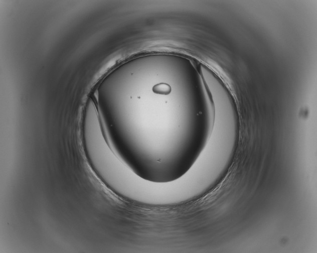 X0000096981384200802291135