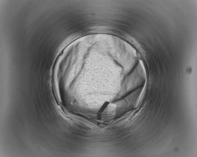 X0000096981386200802291135