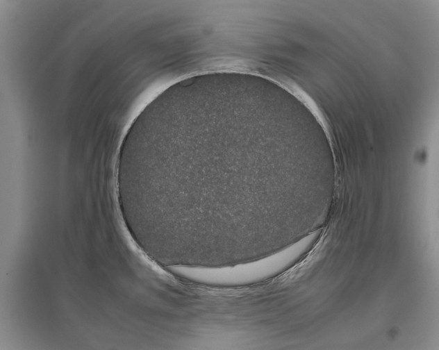 X0000096981389200802291135