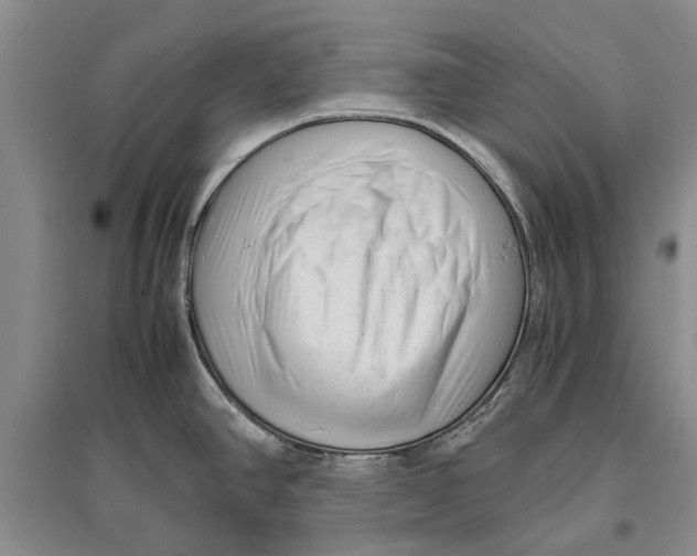 X0000096981390200802291135