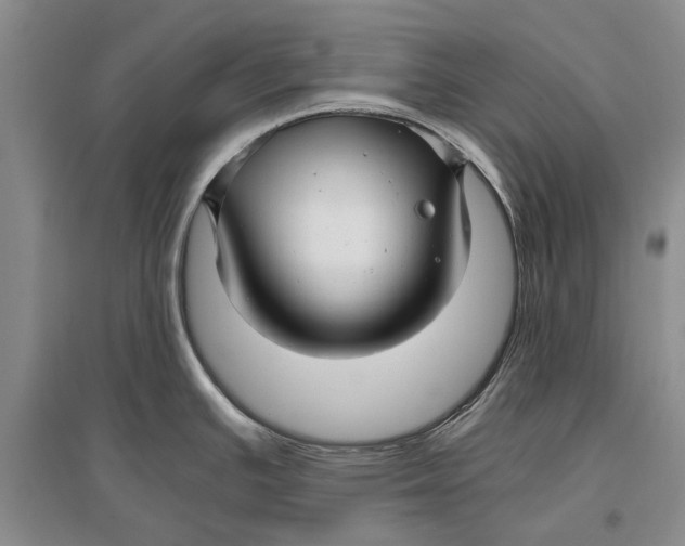 X0000096981391200802291135