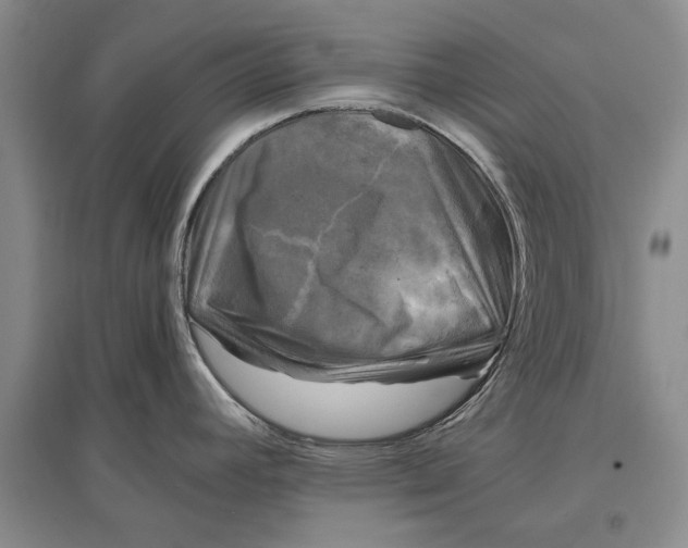 X0000096981392200802291135