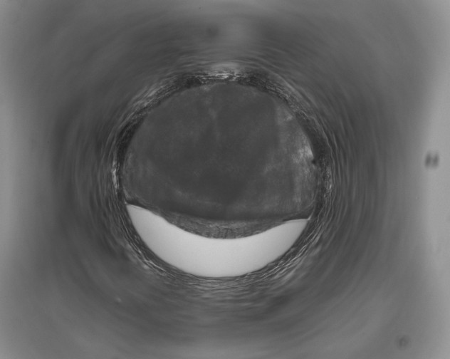 X0000096981394200802291134