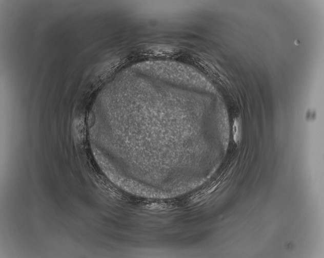 X0000096981395200802291134