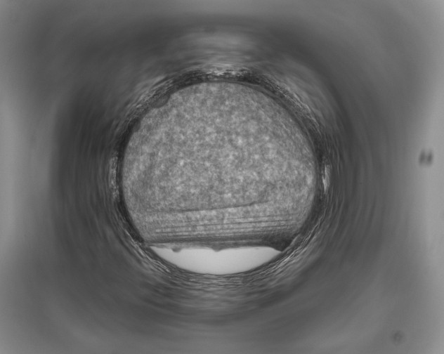 X0000096981396200802291134